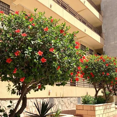 Apartment Colores Del Mar *